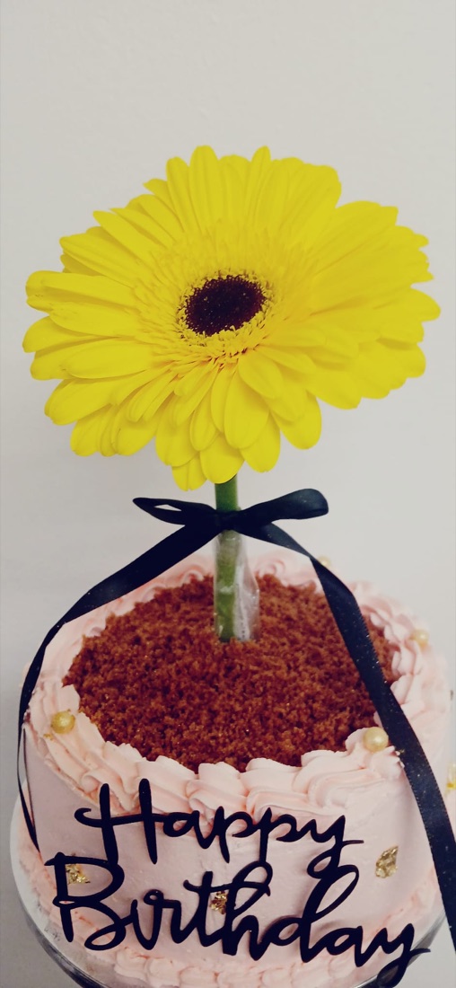 A pink birthday cake finished with a gerbera